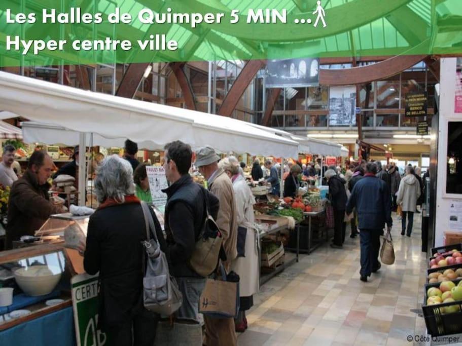 Oo Le Jardin Oo Paisible Studio Equipe Et Bien Place カンペール エクステリア 写真